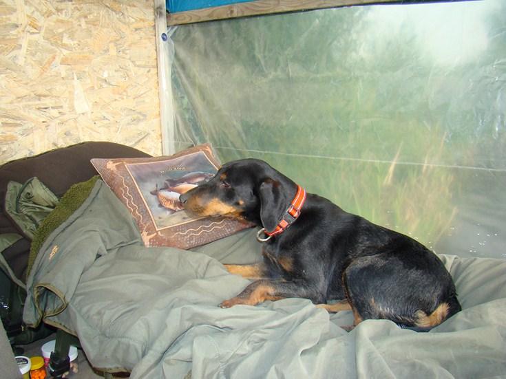 TOP 10 S.N.A.P - dsc0123520copy.JPG